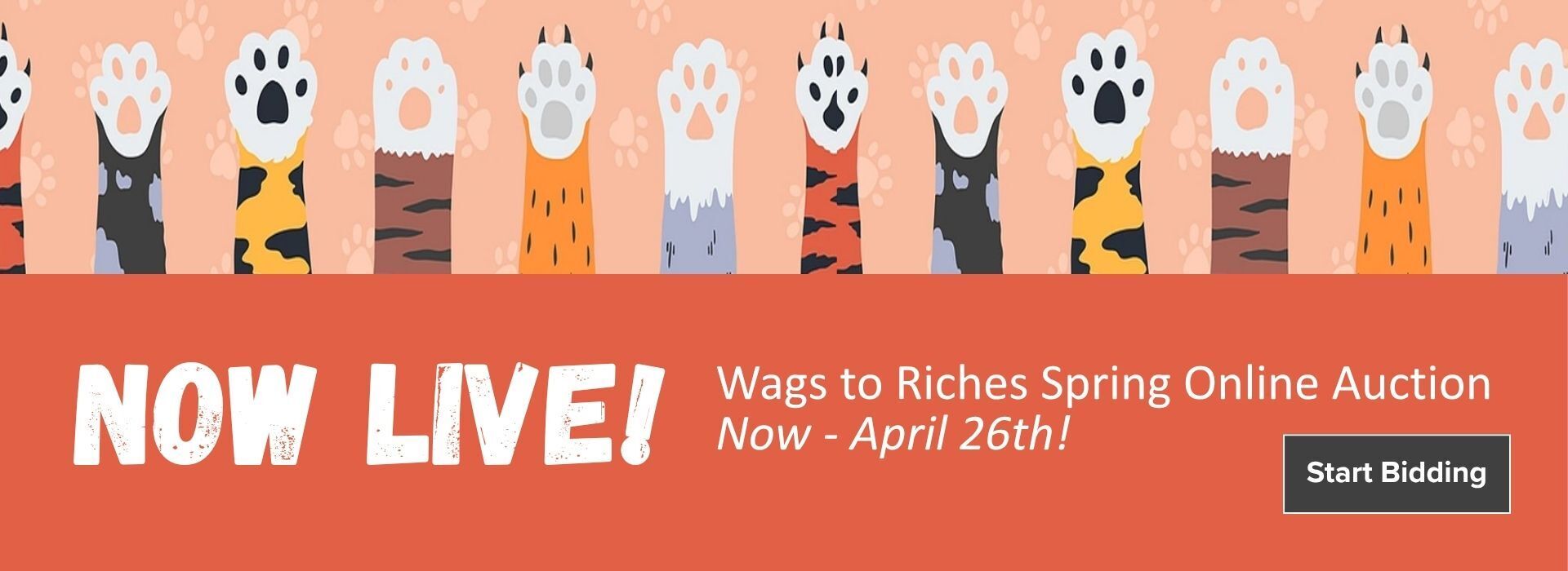Wags to Riches Auction Now Live